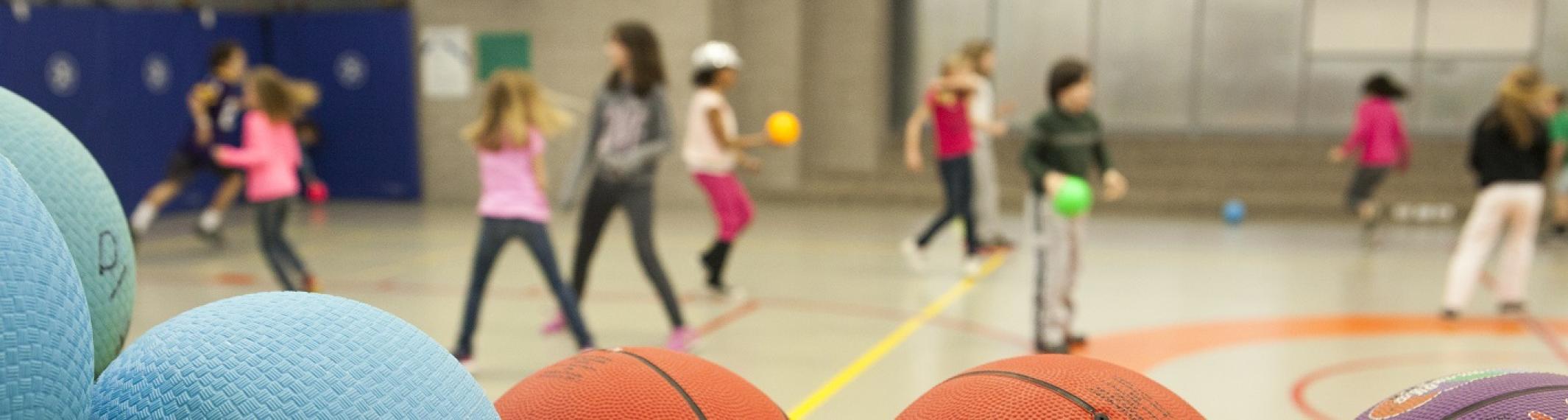 Kids in a gym playing with various kinds of balls.